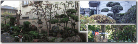剪定し終わった日本庭園風のお庭の写真